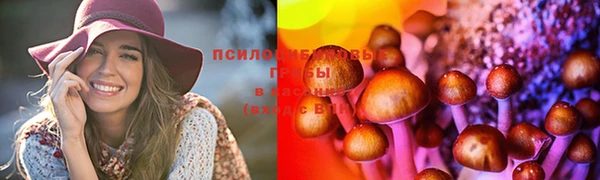 метамфетамин Аркадак
