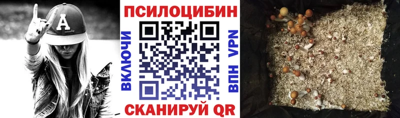 Галлюциногенные грибы Psilocybe Пустошка